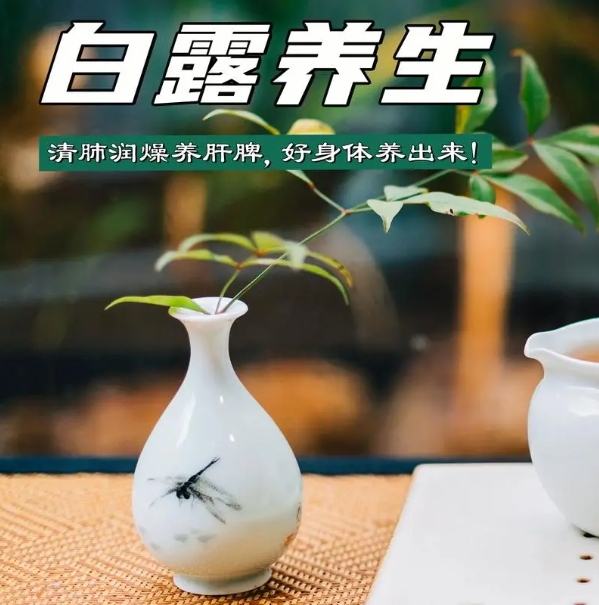 微信截图_20240906115229.png