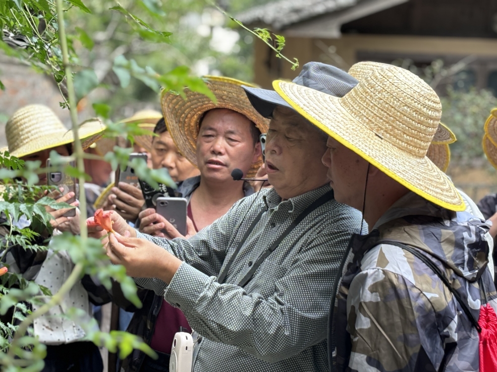 微信截图_20250320165737.png